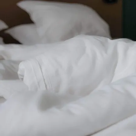 Logis De L'europe 酒店