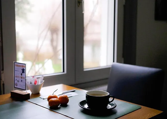 Hotel Logis De L'europe 3*