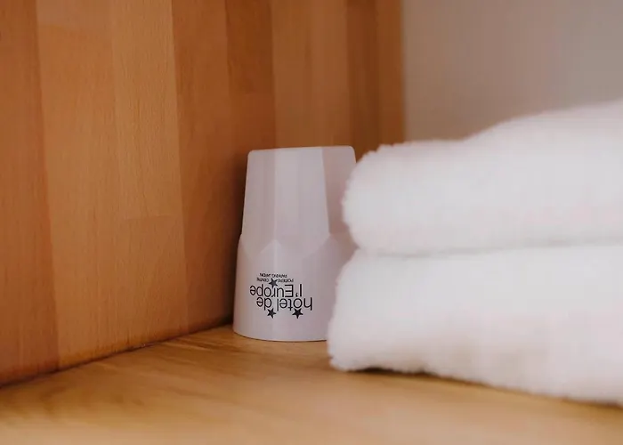 Hotel Logis De L'europe